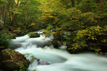 Oirase Gorge in autumnの写真素材