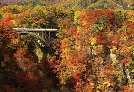 Naruko Gorge in autumnの写真素材