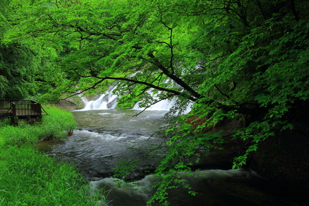 Summer kamabuchi fallsの写真素材