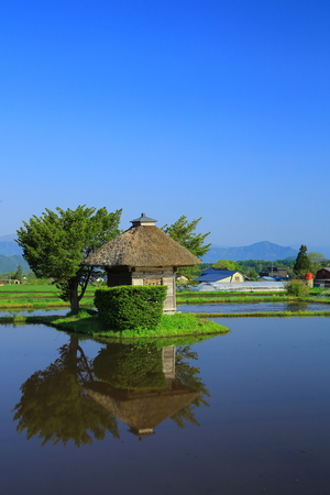 Kojin shrine of fresh green.のeditorial素材