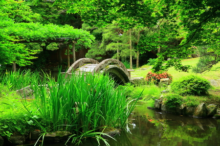 Old bridgeの写真素材