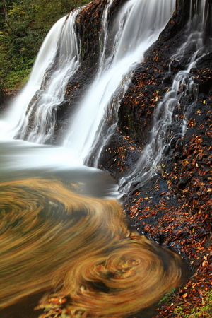 Autumn mountain streamの写真素材