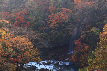 Hachimantai autumnの写真素材