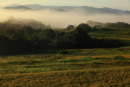 Tanada of autumnの写真素材