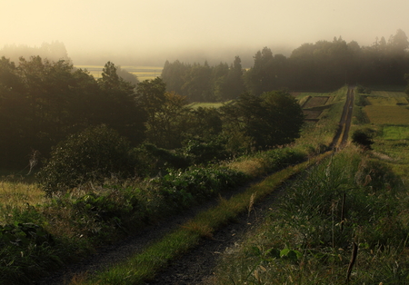 Tanada of autumnの写真素材