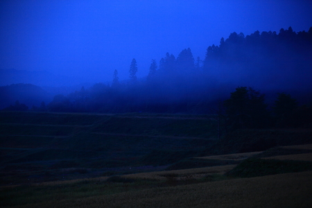 Rice terraces of the dawnの写真素材