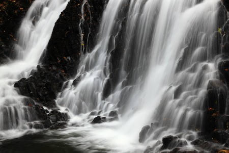 Colored leaves waterfall
