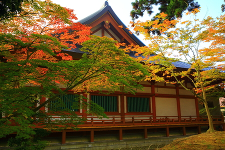 World Heritage site leaves motsu-JI