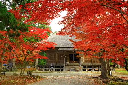 World Heritage site leaves motsu-JIのeditorial素材