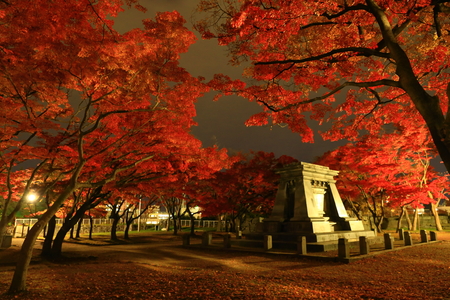 Iwate Park in autumnのeditorial素材