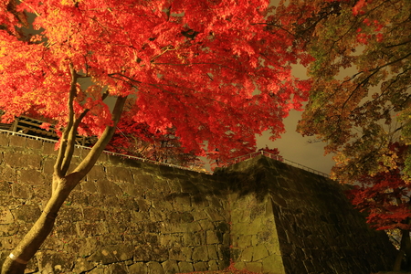 Iwate Park in autumnのeditorial素材