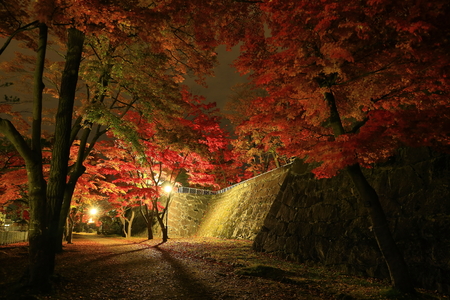 Iwate Park in autumnのeditorial素材
