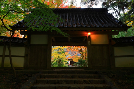 World Heritage site leaves around chuson-ji Templeのeditorial素材
