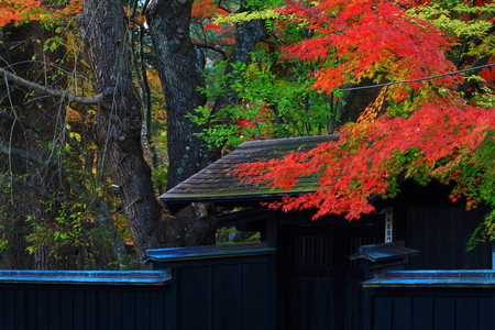 Autumn kakunodateのeditorial素材