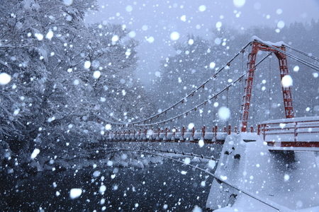 Law of winter fallsの写真素材
