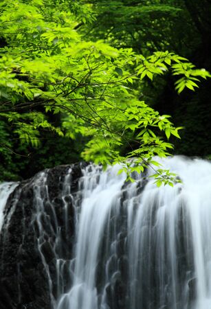 Summer waterfallの写真素材