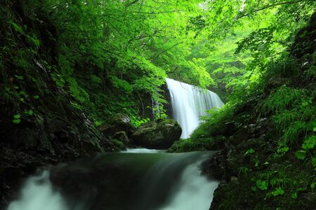 Summer waterfallの写真素材