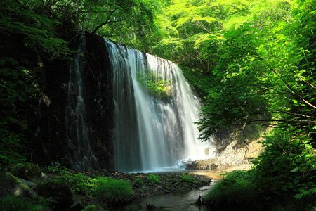 Waterfalls of the green clothの写真素材