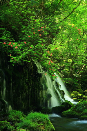 Xia Yuan falls subsoil waterの写真素材