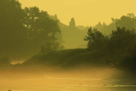 Iwate Prefecture, summer stream