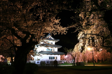 Aomori Prefecture Spring Hirosaki Parkのeditorial素材