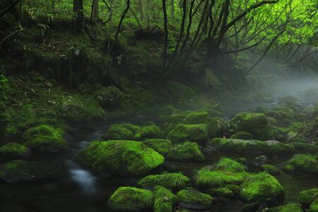 Xia Yuan falls subsoil waterの写真素材