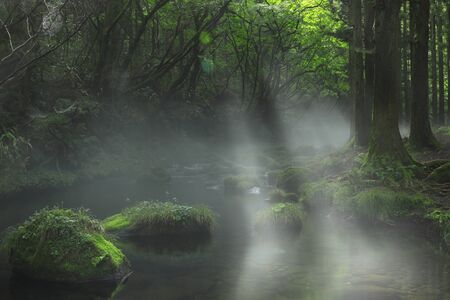 Xia Yuan falls subsoil waterの写真素材