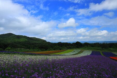Miyagi Prefectureの写真素材