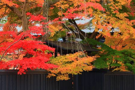 Autumn kakunodateの写真素材