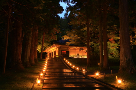World Heritage Chusonji Autumn Leaves Light Upのeditorial素材