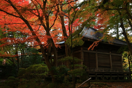 World Heritage site leaves around chuson-ji Templeのeditorial素材