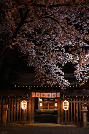Shrine and cherry blossomsのeditorial素材