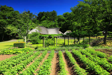 Scenery of the Zanyama in Early Summer in Kitami City, Iwate Reflectionのeditorial素材