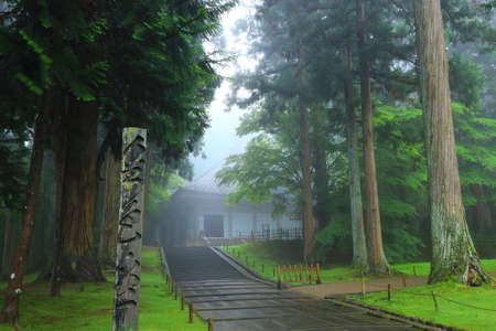 World Heritage Site: Fresh Green Chusonji Temple, Hiraizumi Town, Iwate Prefectureのeditorial素材