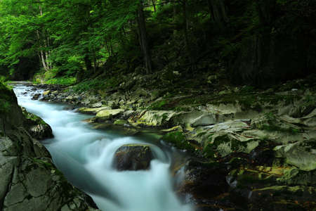 Iwate Prefecture, summer stream