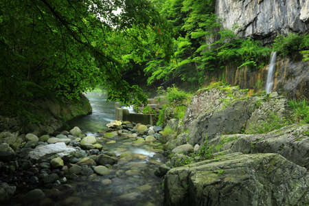Iwate Prefecture, summer stream
