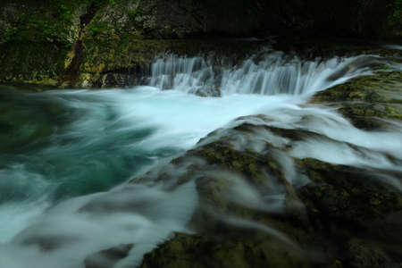 Iwate Prefecture, summer stream