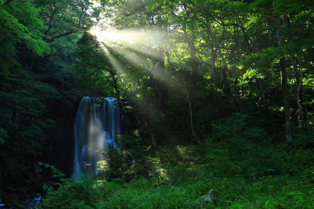 Summer Falls, Yurihonjo City, Akitaの写真素材