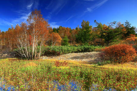 Abi Highlands with Autumn Leaves in Hachimantai City, Iwate Prefecture
