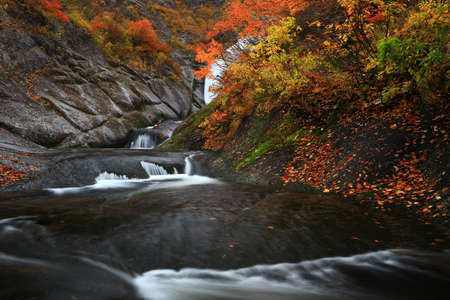 Valley of autumn leaves in Kita-Akita City, Akita Prefecture