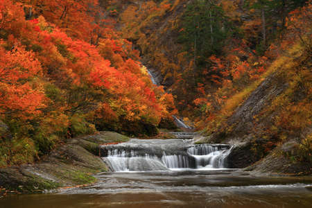 Valley of autumn leaves in Kita-Akita City, Akita Prefecture