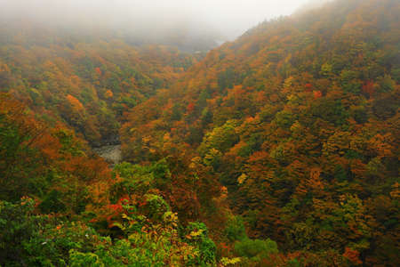 Autumn Valley, N nishiwaga town, Iwate Prefecture