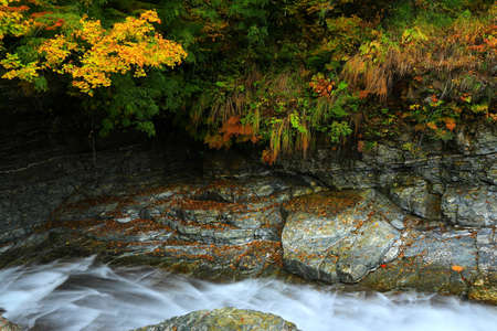 Yuzawa City, Akita Prefecture, Valley of Autumn Leaves