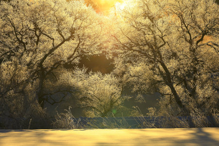 Iwate Winter Dawnの写真素材