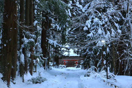 winter hiraizumi in chuson-ji Templeのeditorial素材