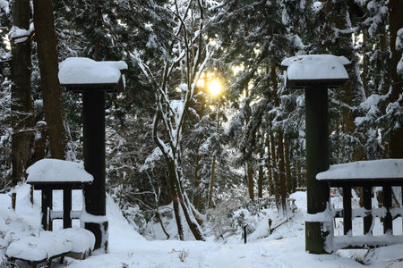 winter hiraizumi in chuson-ji Templeのeditorial素材