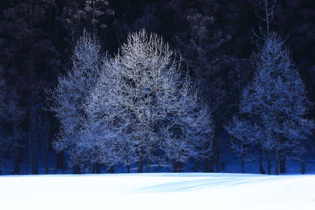 Winter scenery in Nishiwaga Town, Iwate Prefecture