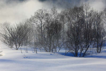 Waga River in Winter, Nishiwaga Town, Iwate Prefectureの写真素材