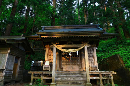 World Heritage Fresh Green Templeのeditorial素材