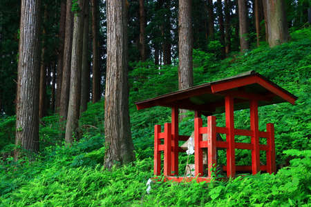 World Heritage Fresh Green Templeのeditorial素材